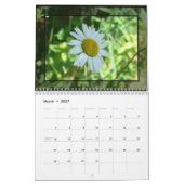 Daisy- kalender 2016 (Mar 2027)