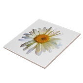 Daisy kijkt omhoog tegeltje (Zijkant)