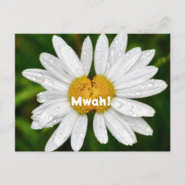 Daisy Kussen Verjaardag Valentijn Groet  Briefkaart