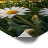 Daisy Lamb Lenteweide Poster (Hoek)