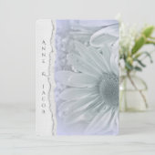 daisy macro in paarse tint met verscheurde papiere kaart (Staand voorkant)