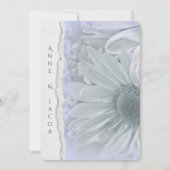 daisy macro in paarse tint met verscheurde papiere kaart (Voorkant)