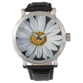 Daisy Mae  Leather Black Strap Watch Horloge