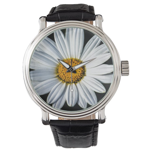 Daisy Mae  Leather Black Strap Watch Horloge (Voorkant)