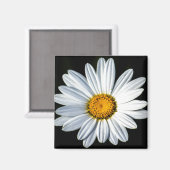 Daisy Mae Magnet (Recto/Verso)