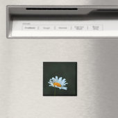 Daisy Magneet (Insitu (Vaatwasser))