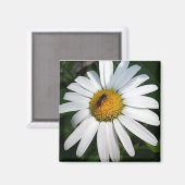 Daisy Magneet (Voorkant / Achterkant)