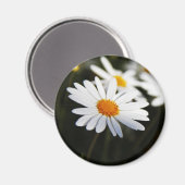 Daisy Magneet (Voorkant / Achterkant)