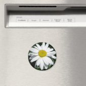 DAISY MAGNET (In Situ (Lave-vaisselle))