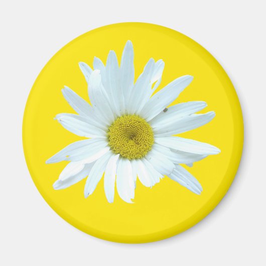 Daisy Magnet Magneet (Voorkant)