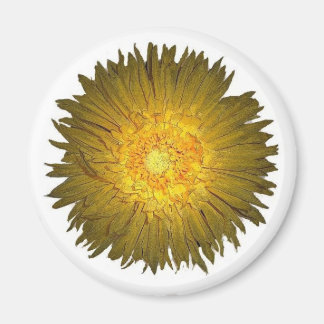 Daisy Magnet Magneet