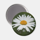 Daisy Magnet Magneet (Voorkant / Achterkant)