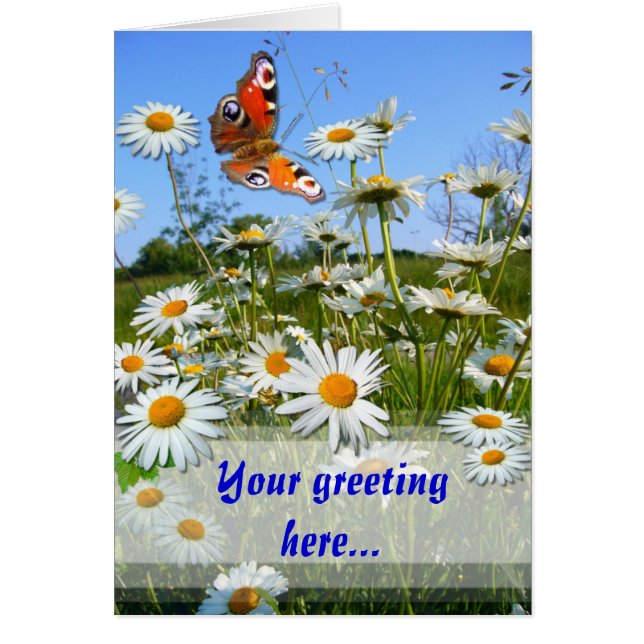 DAISY MEADOW ~ Kaart (Voorkant)