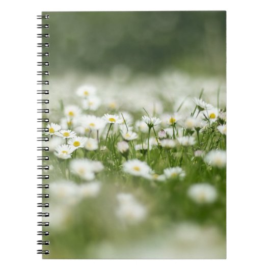 Daisy Meadow Notitieboek (Voorkant)