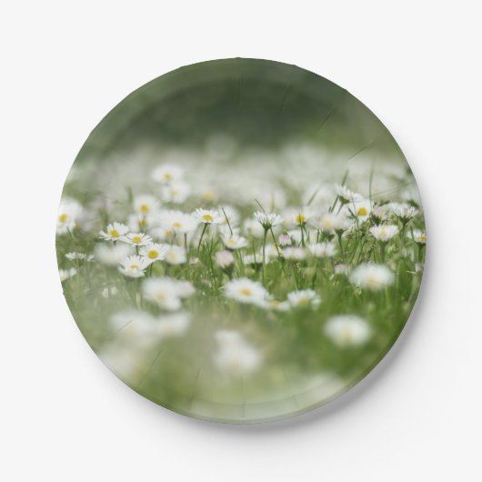 Daisy Meadow Papieren Bordje (Voorkant)