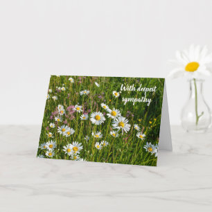 Daisy Meadows  -  Met diepste medeleven Kaart