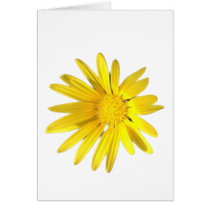 Daisy Note - Blank voor uw persoonlijke personalis