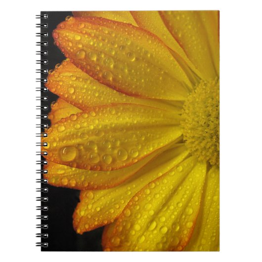 Daisy Notitieboek (Voorkant)