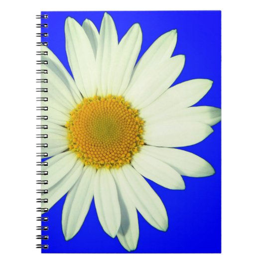 Daisy Notitieboek (Voorkant)