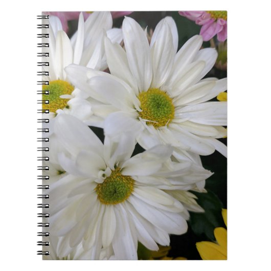 Daisy Notitieboek (Voorkant)