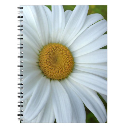 Daisy Notitieboek Classic Daisy Journals Flower Gi (Voorkant)