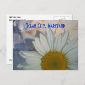 Daisy Ocean City Briefkaart (Voorkant / Achterkant)
