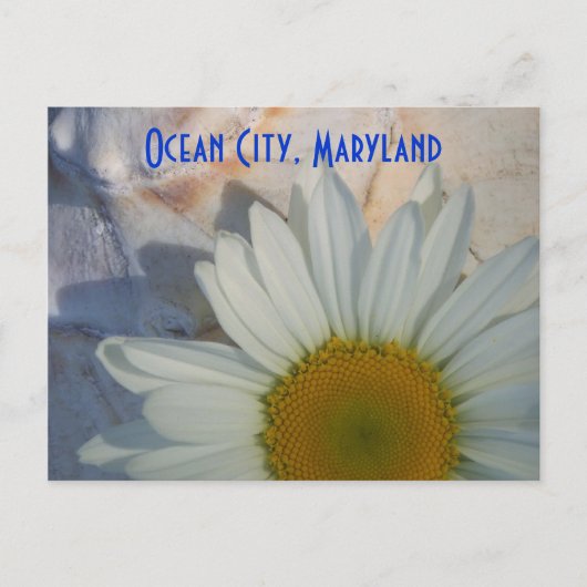 Daisy Ocean City Briefkaart (Voorkant)