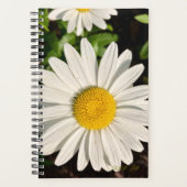Daisy of a Planner. (Devant)