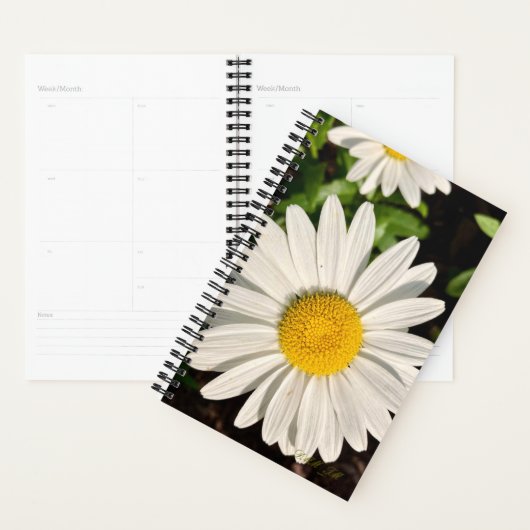 Daisy of a Planner. Planner (Display)
