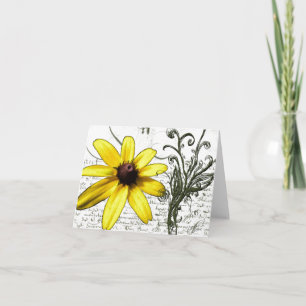 Daisy op een Hete Dag van de Zomer - de Kaart van