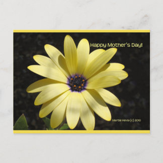 Daisy op Moederdag | Blue Beach Song™-Briefkaart Briefkaart
