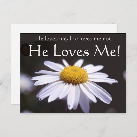 Daisy op zwarte achtergrond briefkaart (Voorkant / Achterkant)