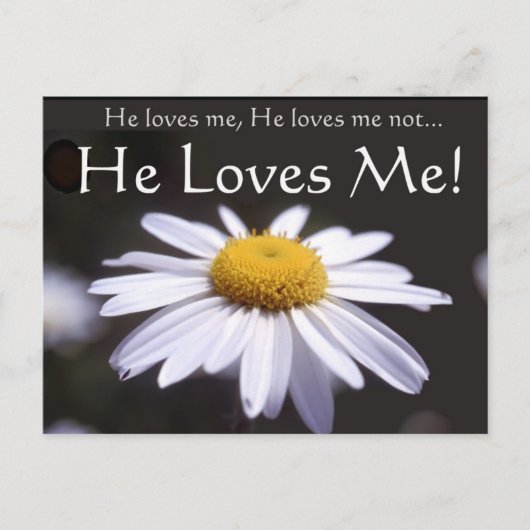 Daisy op zwarte achtergrond briefkaart (Voorkant)