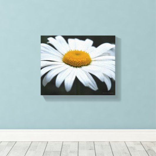 Daisy - Opschieten Canvas Afdruk (Insitu (Houten vloer))
