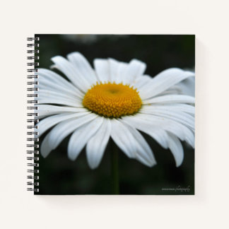 Daisy - Opschieten Notitieboek