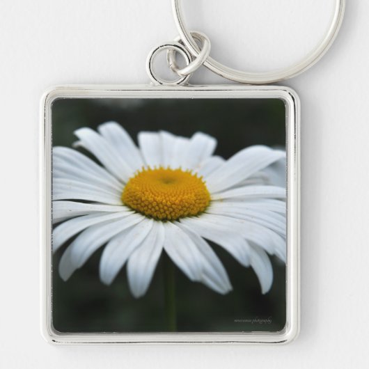 Daisy - Opschieten Sleutelhanger (Voorkant)
