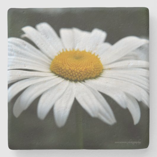 Daisy - Opschieten Stenen Onderzetter (Voorkant)