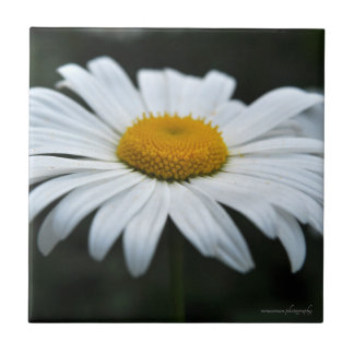 Daisy - Opschieten Tegeltje