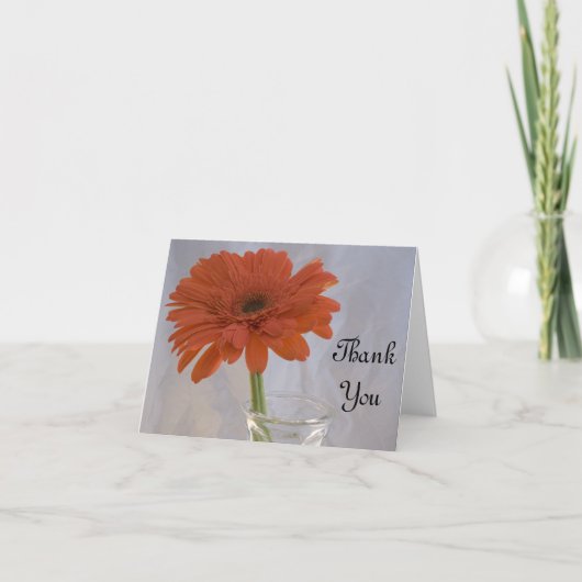 Daisy Orange dans le Vase Merci (Devant)