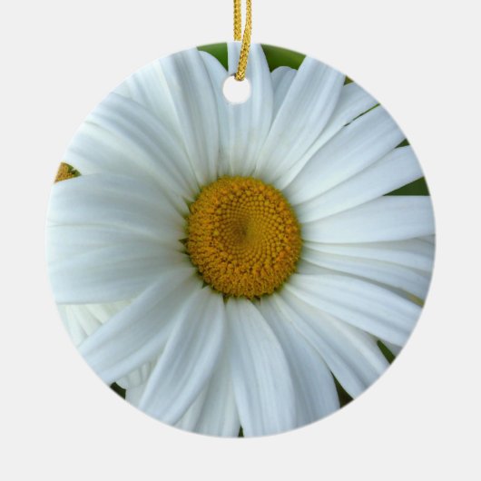 Daisy Ornament Flowers kerstdecoratie (Voorkant)
