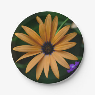 Daisy Paper-Bord Papieren Bordje