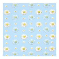 Daisy Pattern op lichtblauwe achtergrond