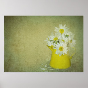 Daisy Petals Poster