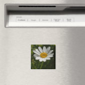 Daisy Photo Magnet Magneet (Insitu (Vaatwasser))