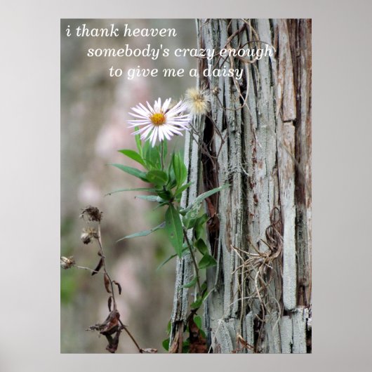 Daisy Photo Poster (Voorkant)