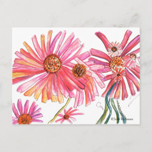 Daisy Pink Flower Briefkaart