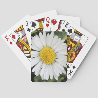 Daisy Pokerkaarten