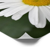Daisy Poster (Hoek)