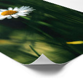 Daisy Poster - afbeelding van hoge kwaliteit (Hoek)