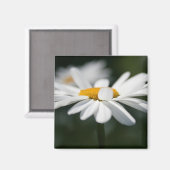 Daisy profiel magneet (Voorkant / Achterkant)
